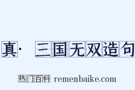 真·三国无双造句是什么意思的图片